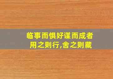 临事而惧好谋而成者 用之则行,舍之则藏